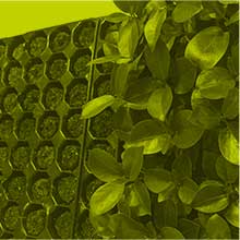 Bandejas de propagación