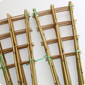 Espalderas de Bambú